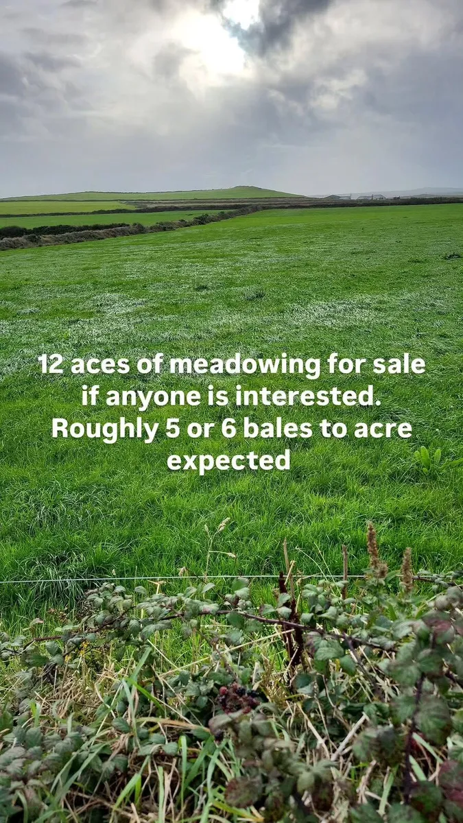 Meadowing for sale