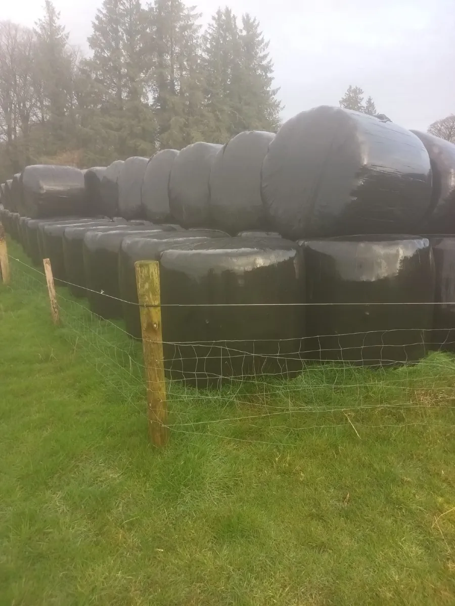 Silage bails - Image 3