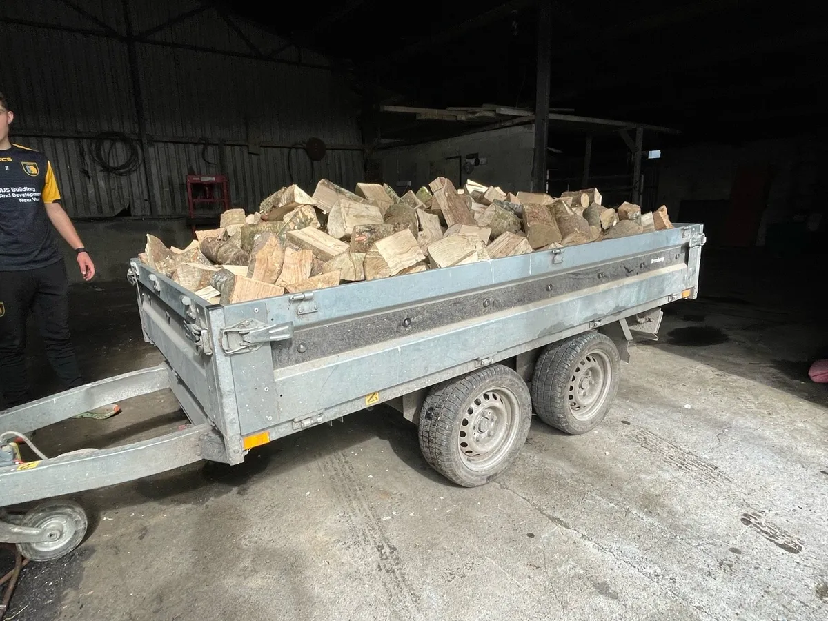 Firewood - Image 3