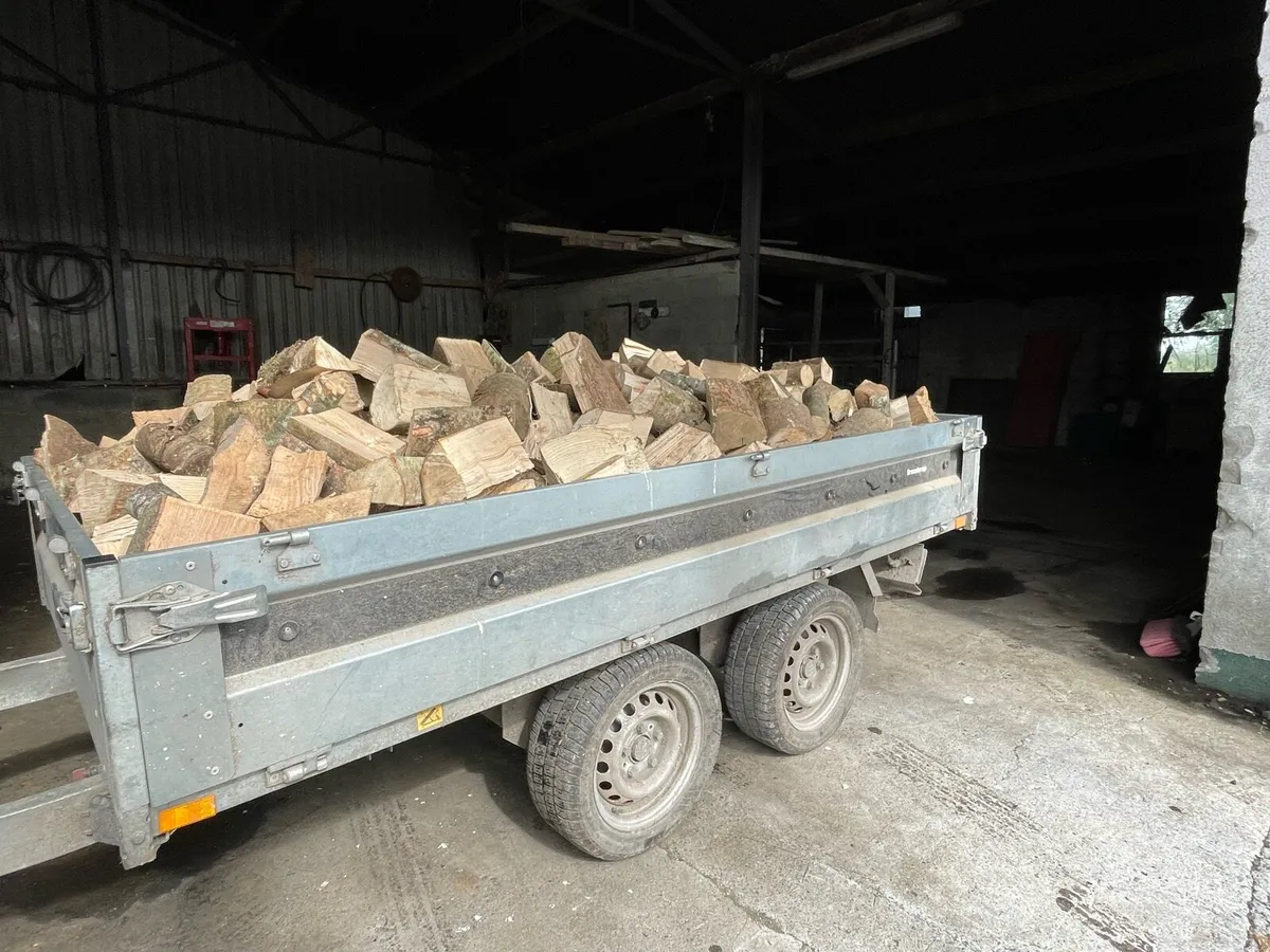 Firewood - Image 1