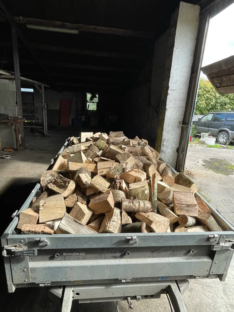 Firewood - Image 2
