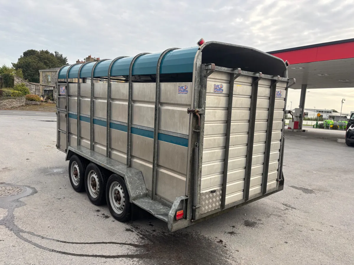 tuffmac 14ft livestock trailer - Image 4