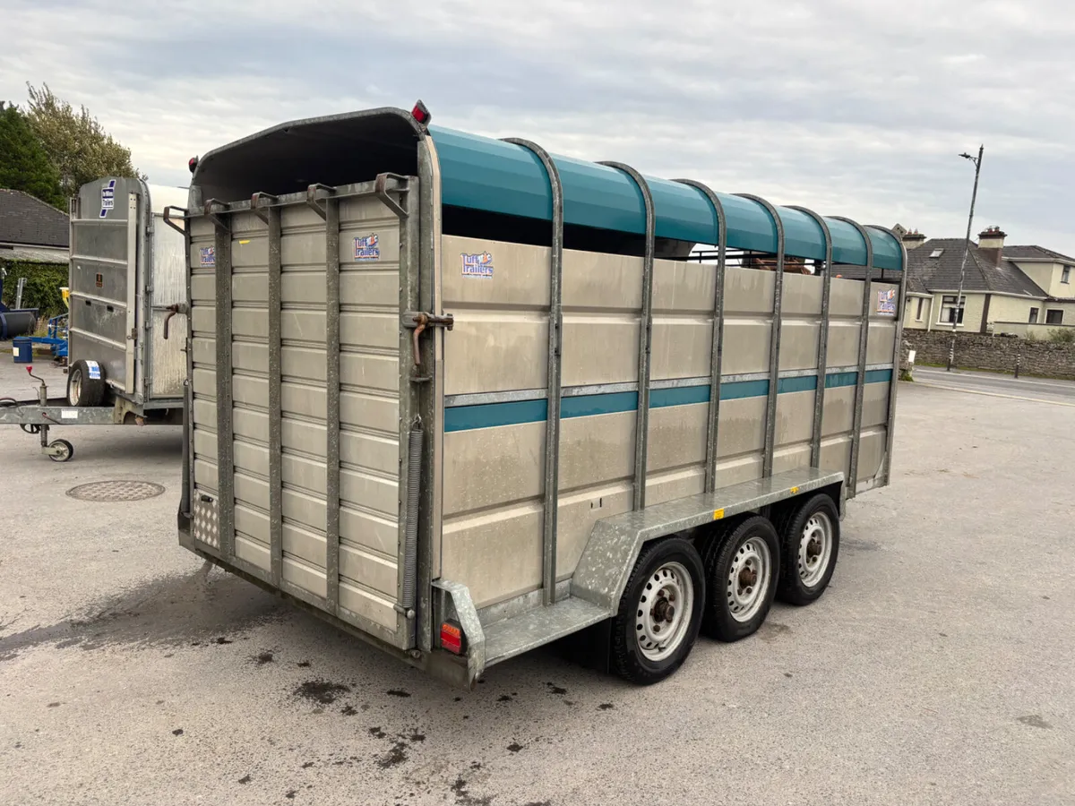 tuffmac 14ft livestock trailer - Image 3