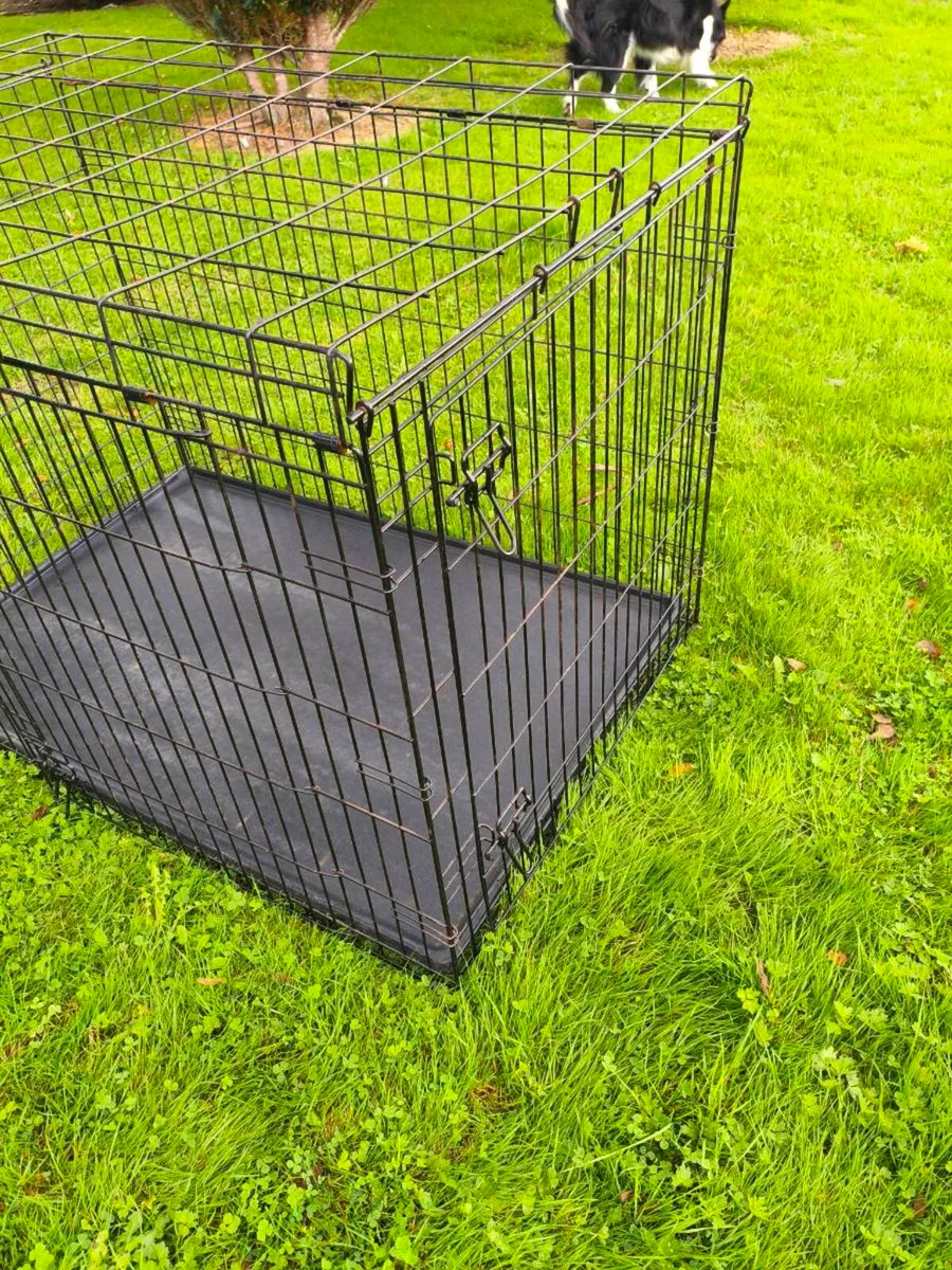 Cage large 70 need gone - Image 2