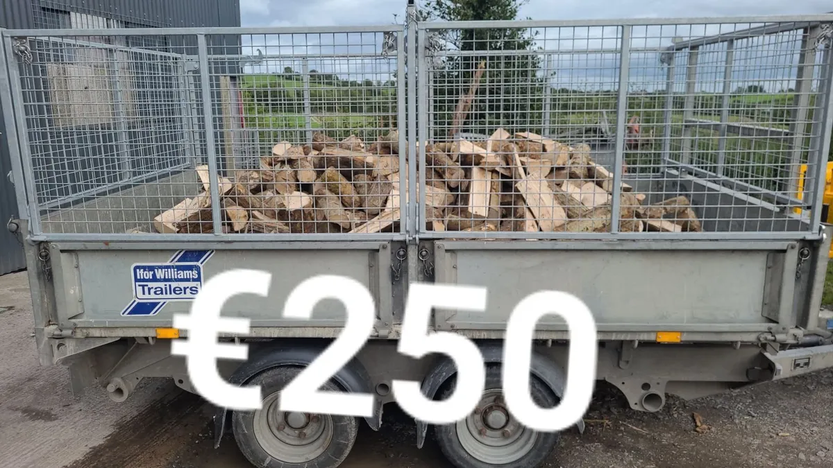 Ash Firewood - Image 2