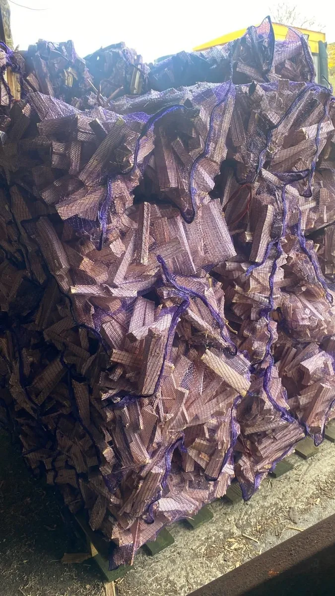 Ash Firewood - Image 3