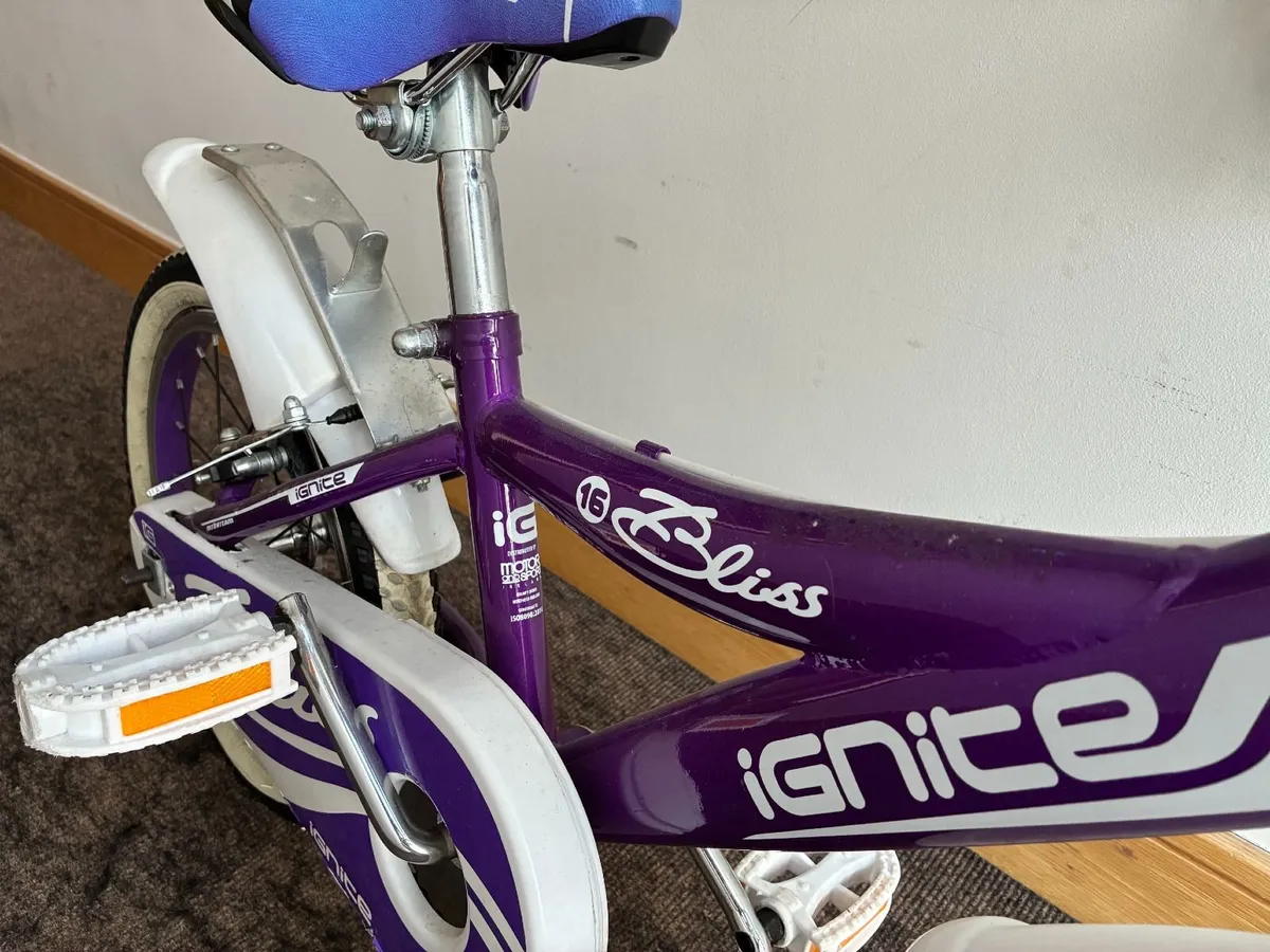 Bicycle - Image 2