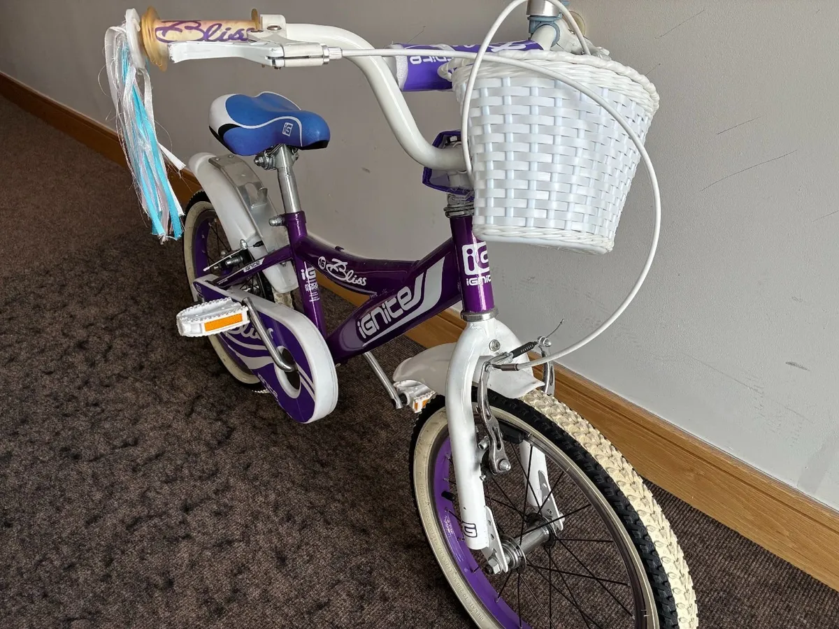 Bicycle - Image 3