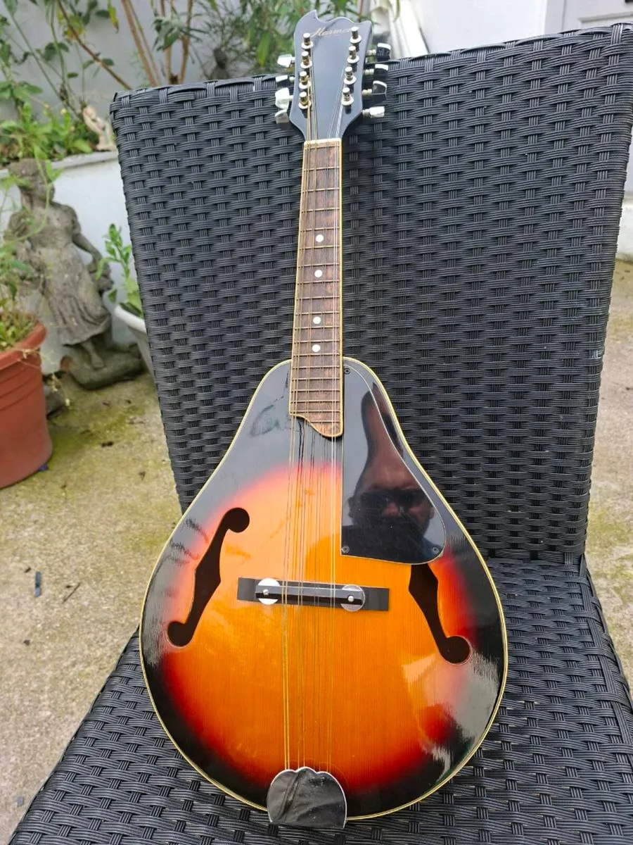 1970's Harmony Mandolin  - Like New! - Image 2