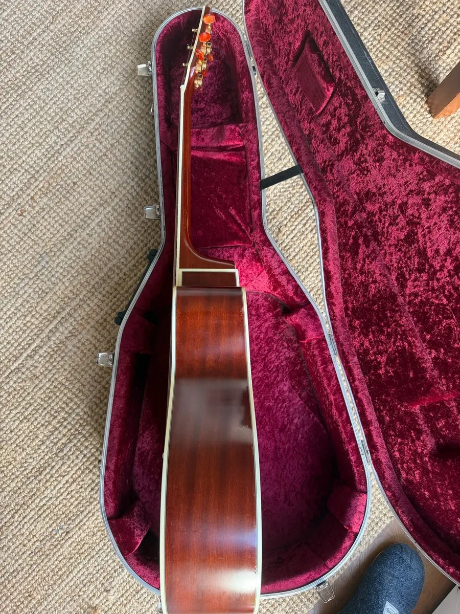 Freshman Guitar - Image 4