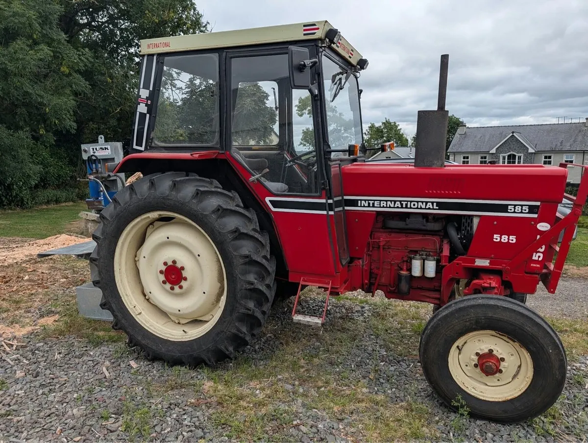 International 585 - a lovely original tractor - Image 1