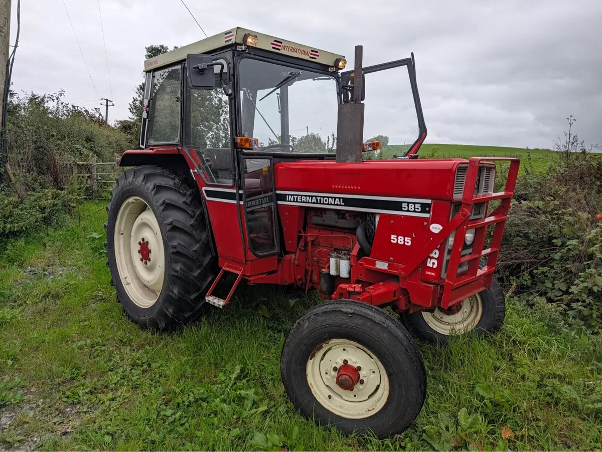International 585 - a lovely original tractor - Image 2