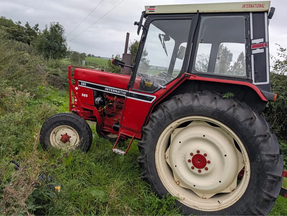 International 585 - a lovely original tractor - Image 3