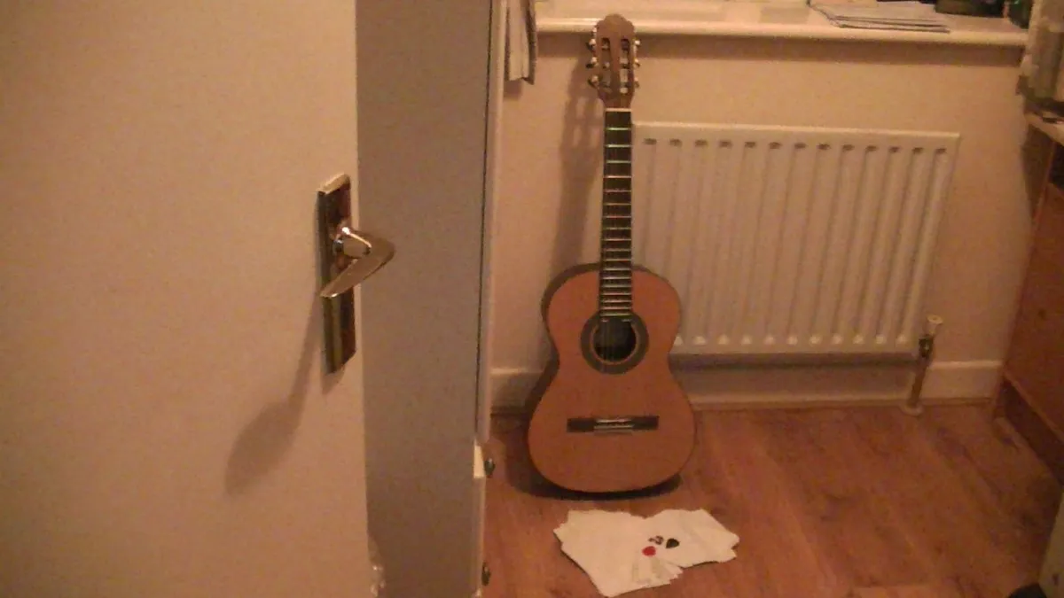 Salvador Guitar - Image 1
