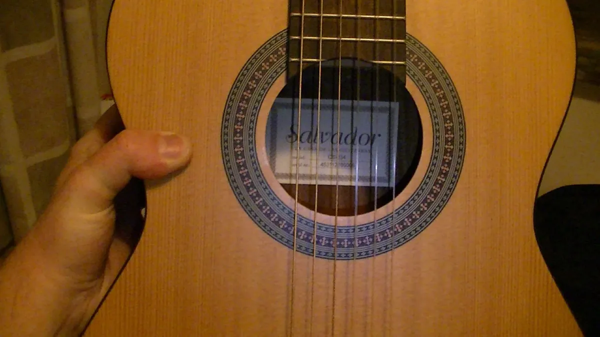 Salvador Guitar - Image 2