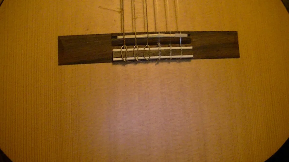 Salvador Guitar - Image 3
