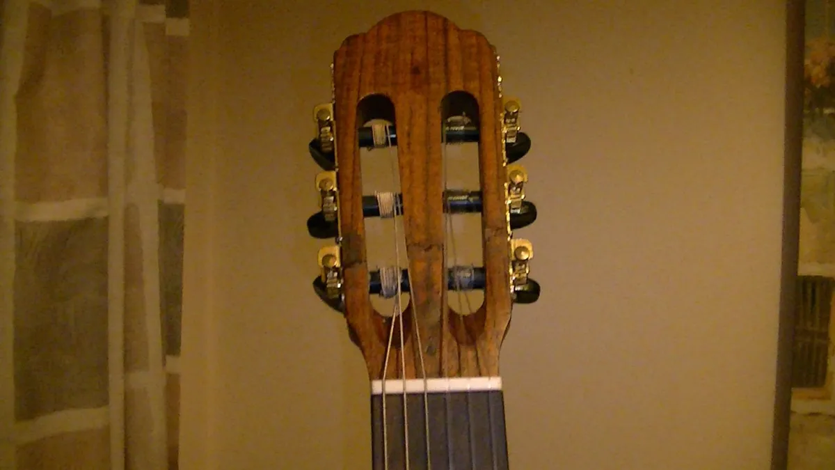 Salvador Guitar - Image 4