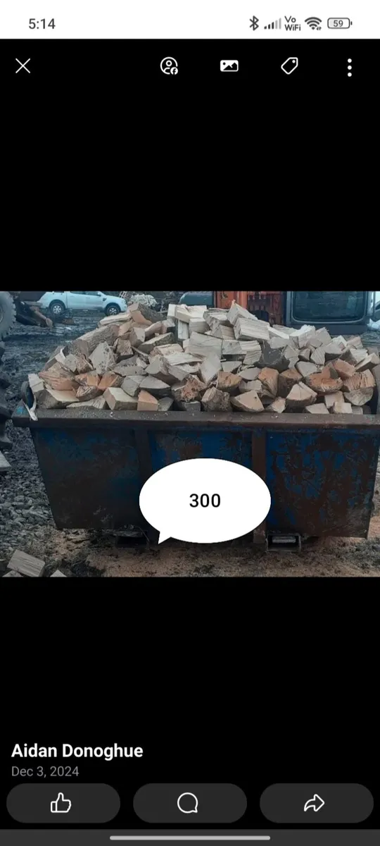 Firewood timber hardwood fuel - Image 1