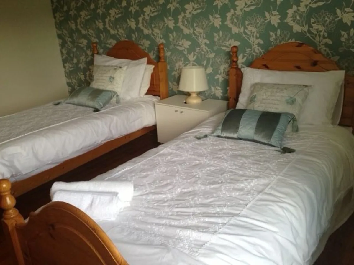 2 Single beds &  2 mattress - Image 1