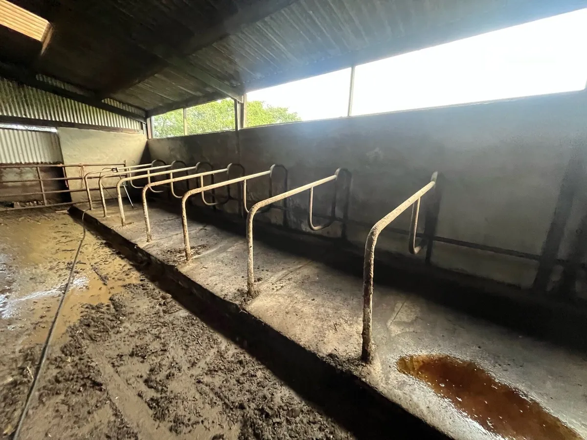 Power washing services - Image 4