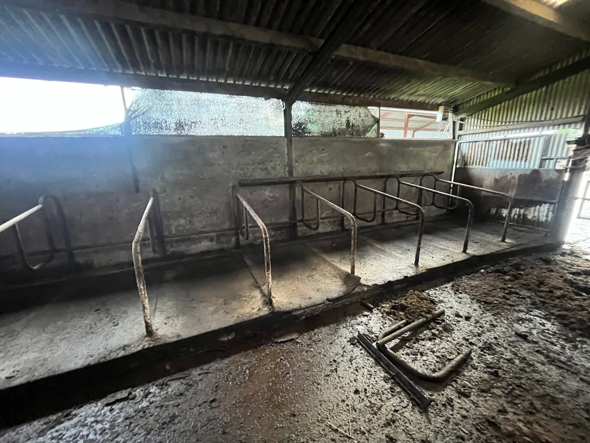 Power washing services - Image 2