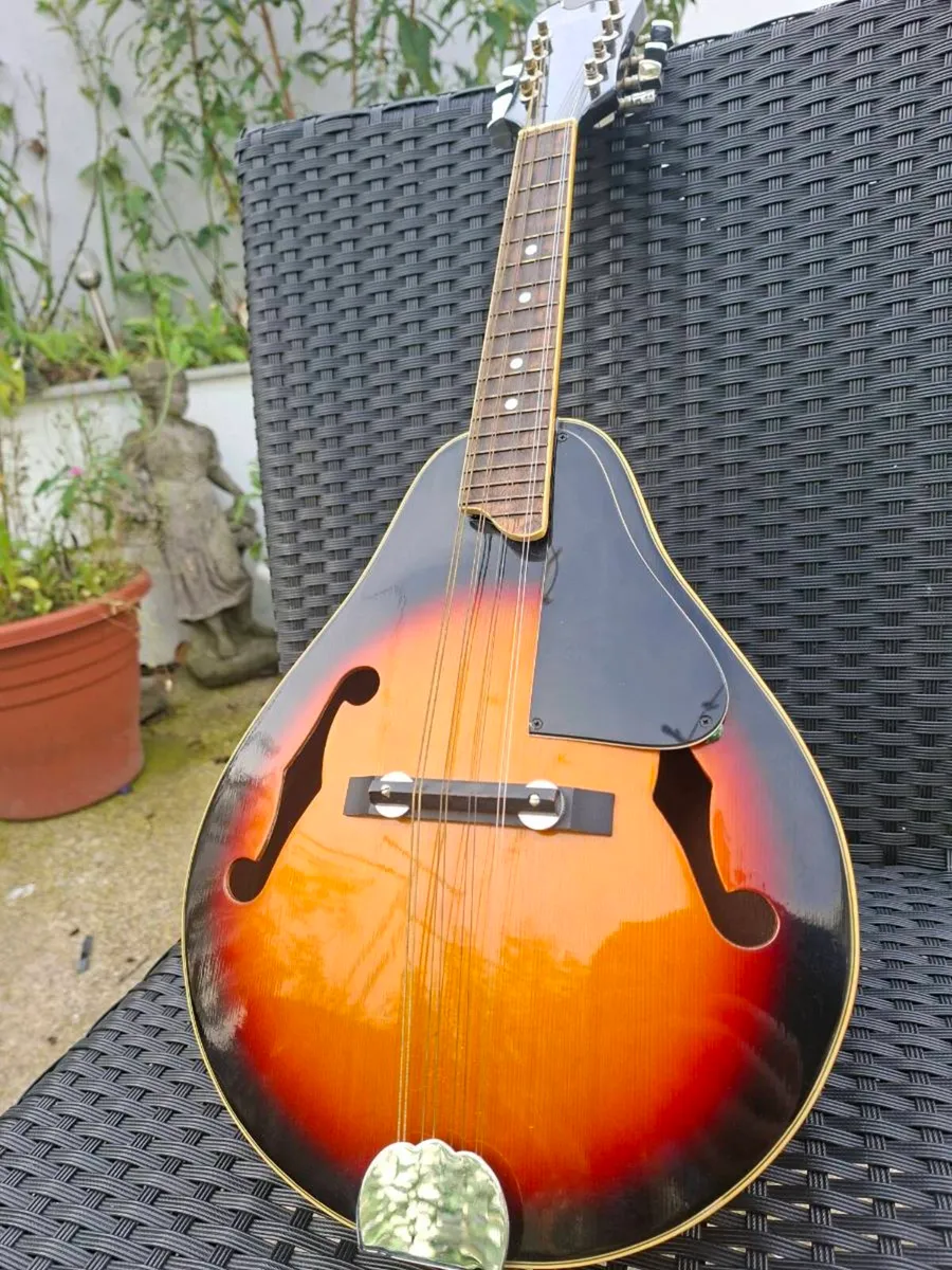 1970's Harmony Mandolin  - Like New! - Image 3