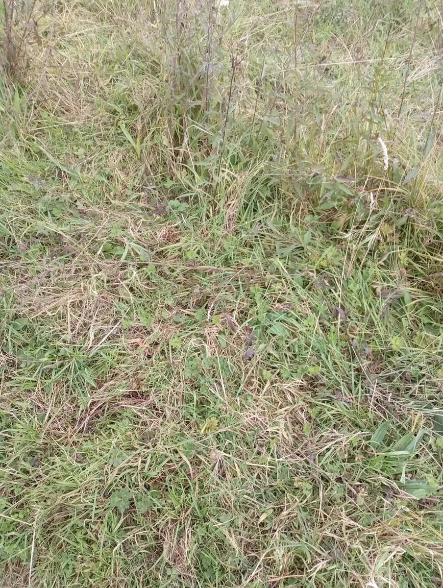 Land for lease