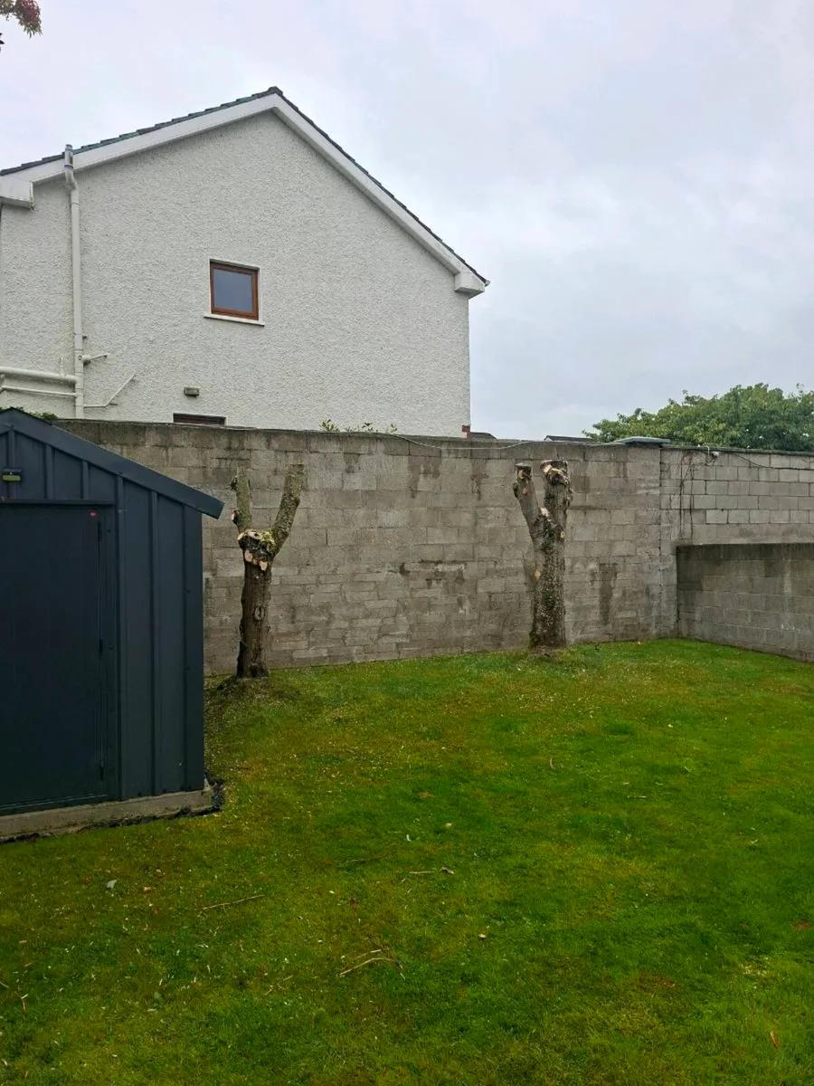 Tree Services (A.K.J Tree Care) - Image 2