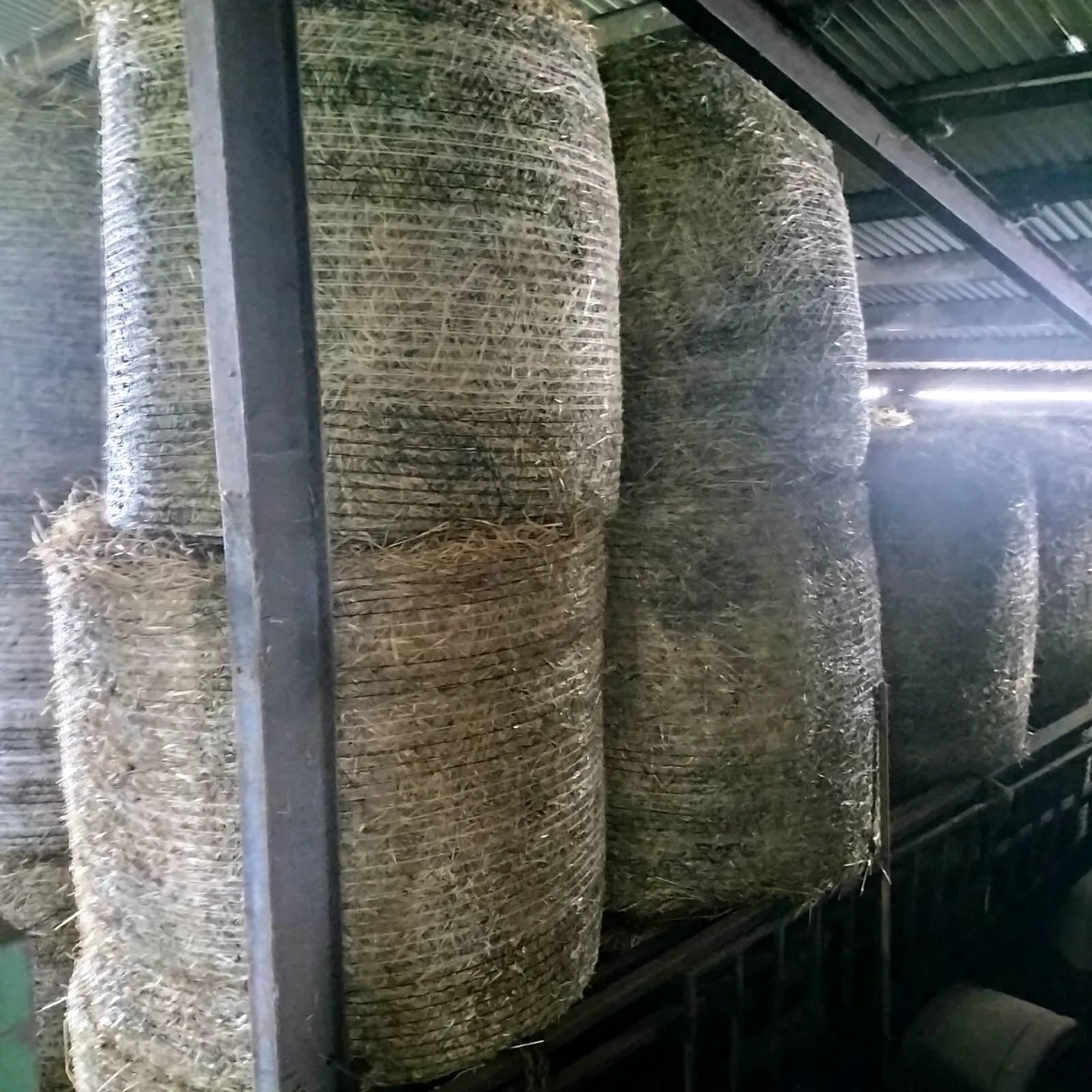 ROUND    BALES  SPRING  BARLEY  STRAW