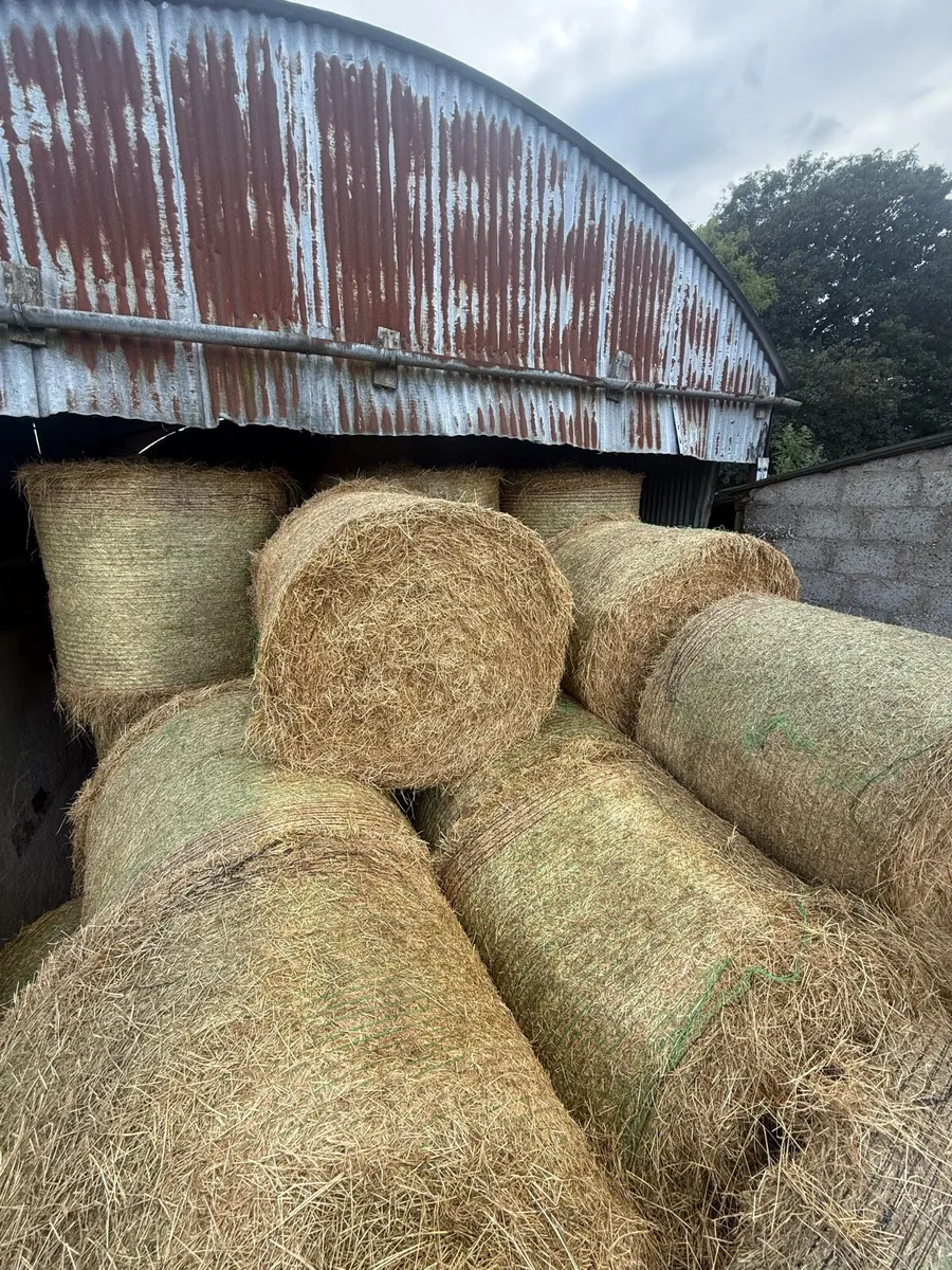Round bale hay - Image 1