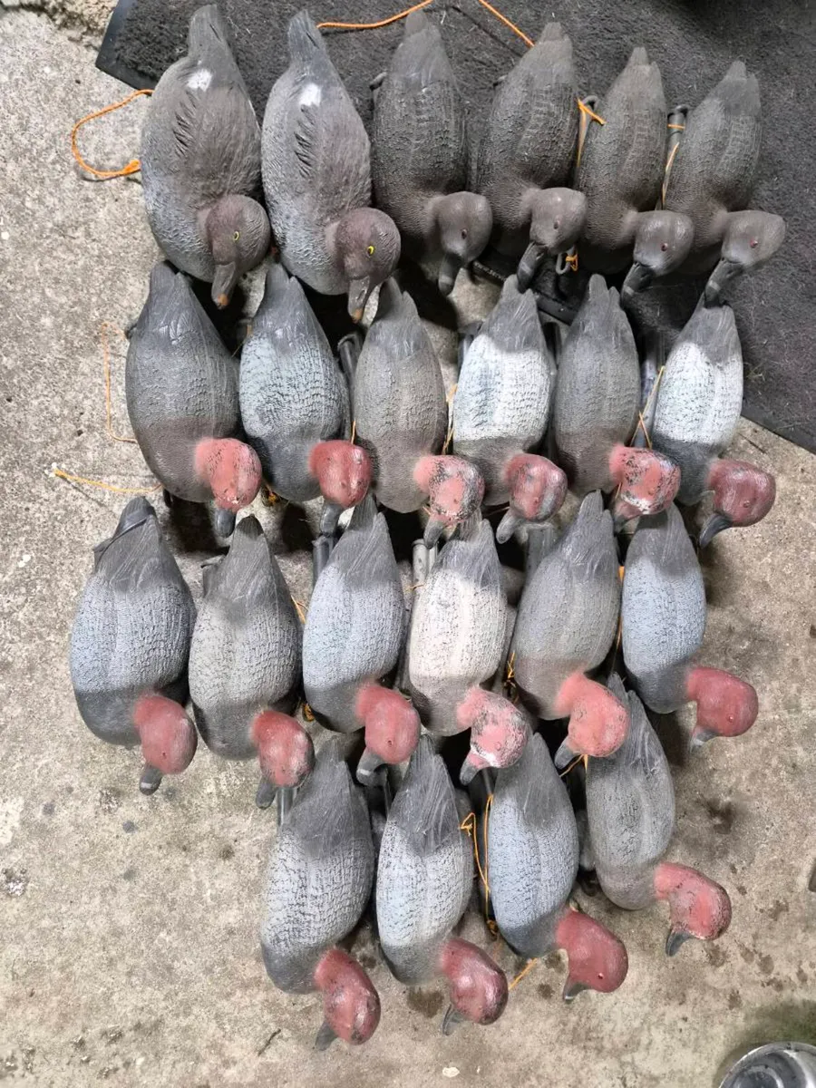 Duck decoys - Image 1