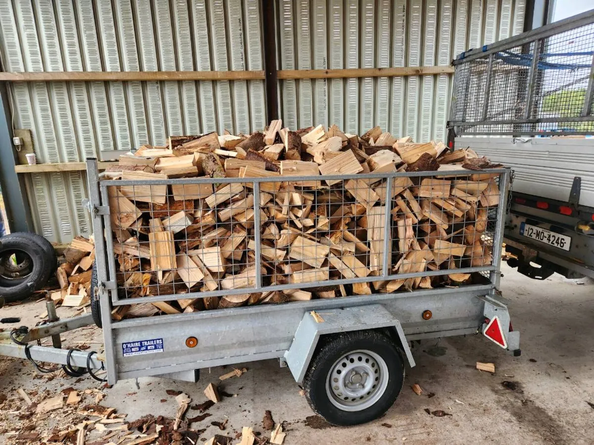 Erris Log Company - Image 3