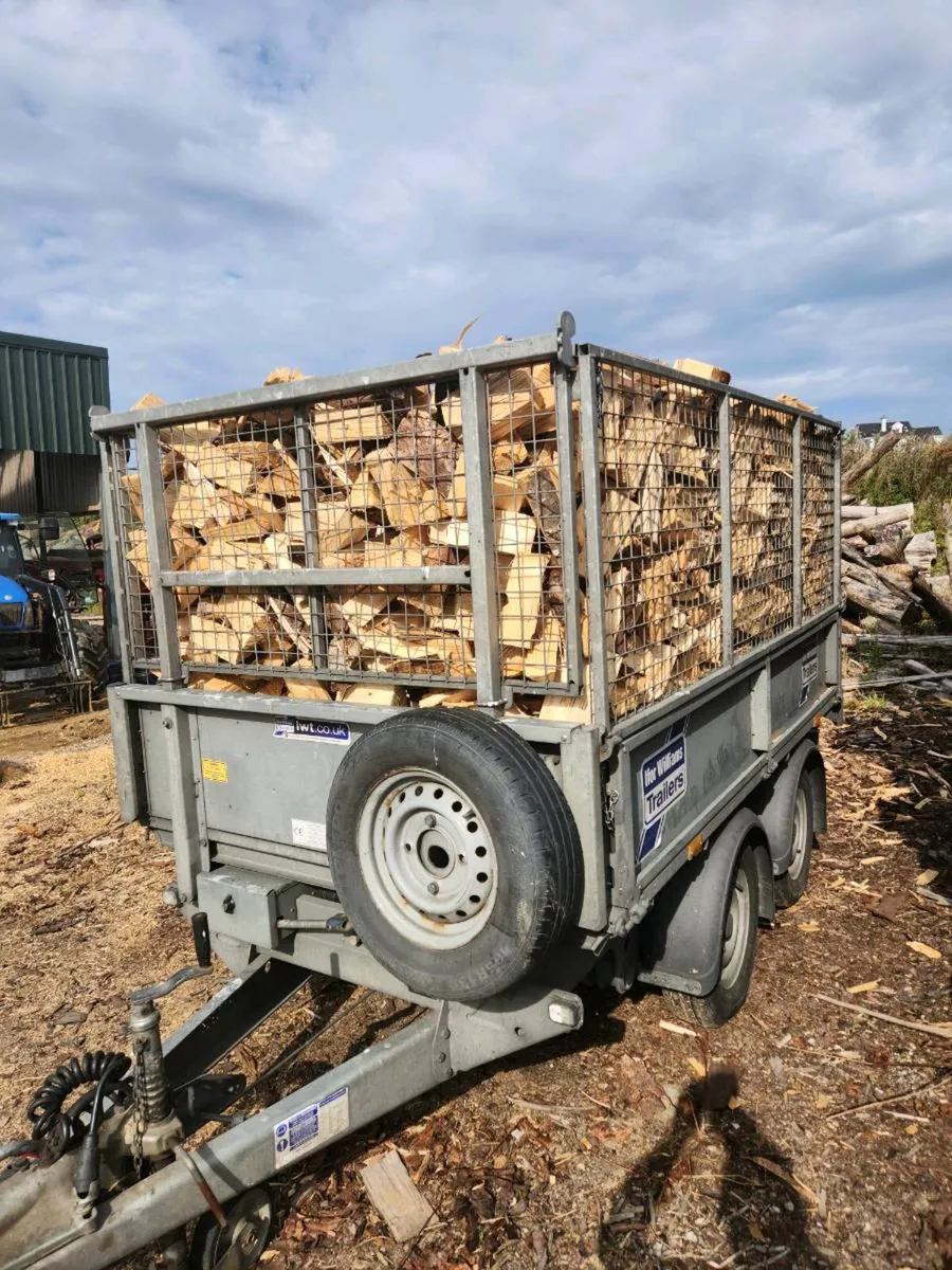 Erris Log Company - Image 2