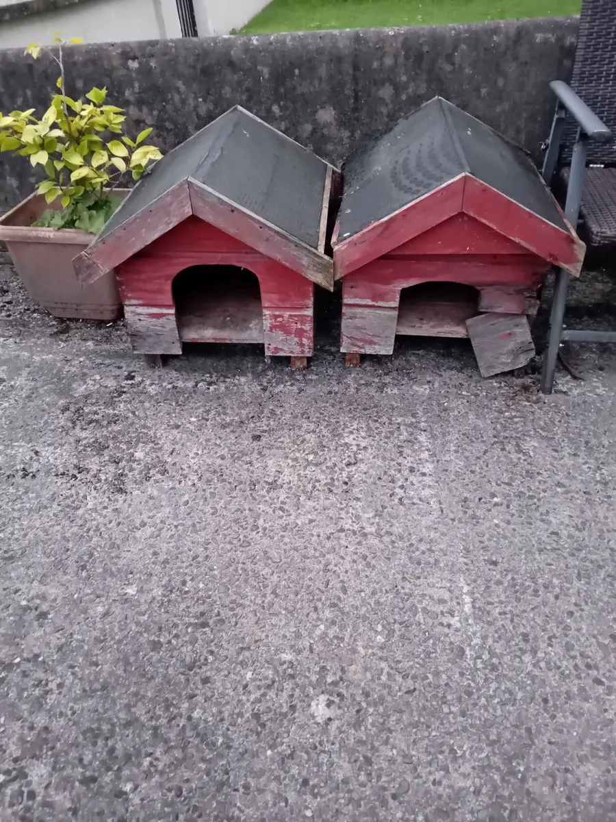 Dog boxes wooden x 2 free