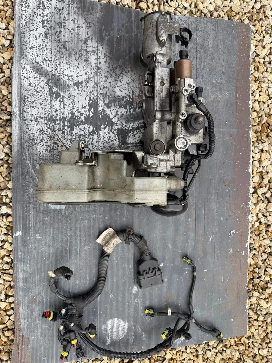 Fiat 500 Dualogic Actuator& Wiring - Image 1