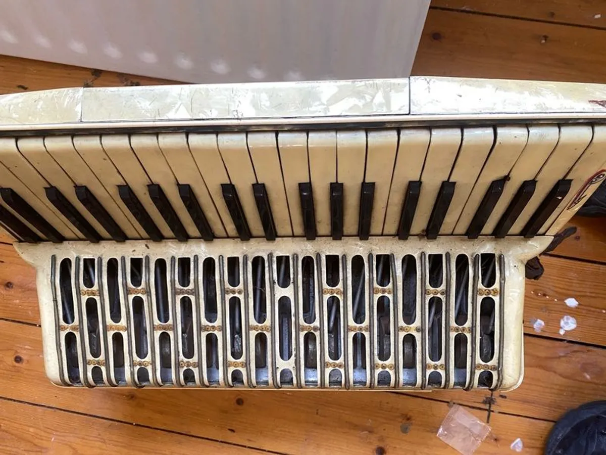 Borsini Accordion - Image 2