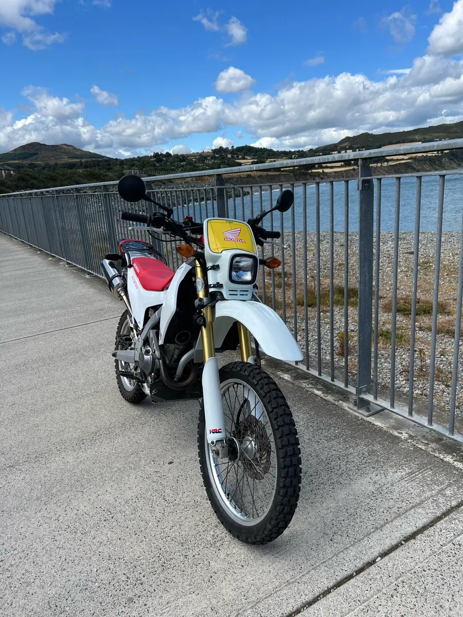 2015 Honda CRF250L Custom Build - Image 2