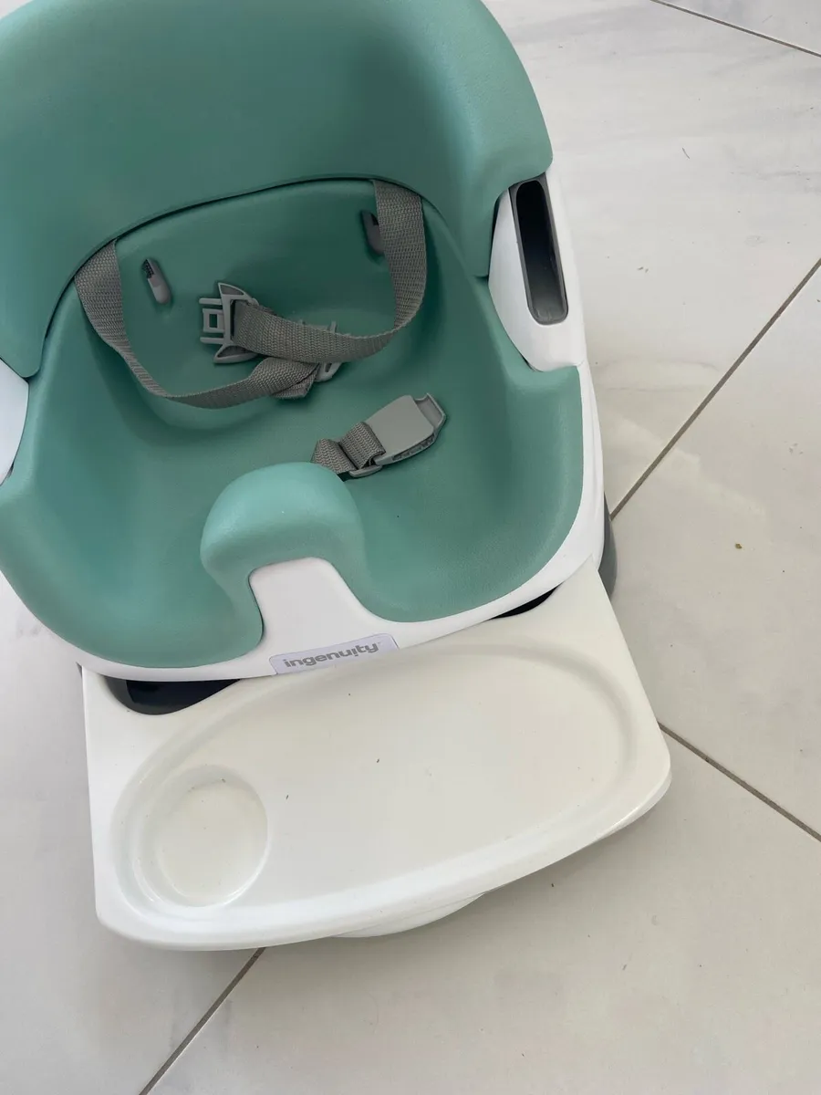 Ingenuity child seat - Image 1