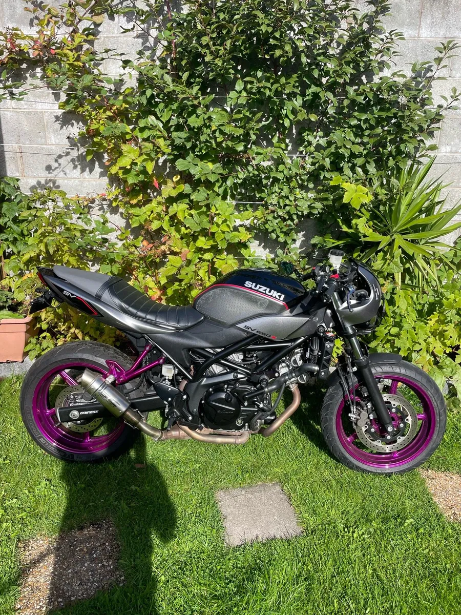 Suzuki SV 650 X Mint low mileage - Image 1