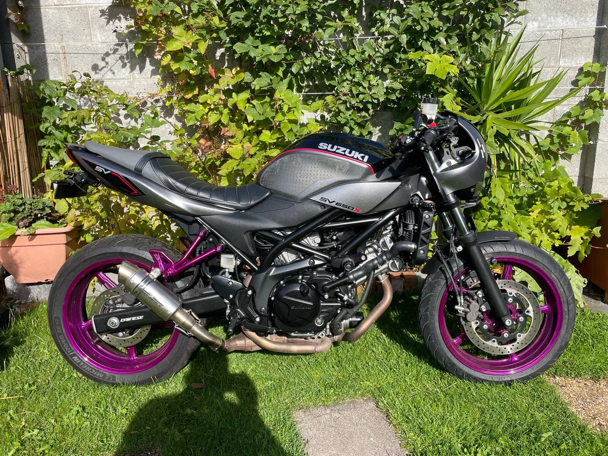 Suzuki SV 650 X Mint low mileage - Image 3