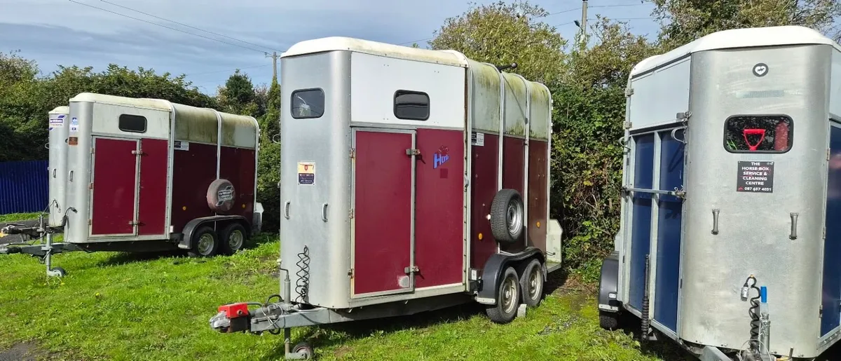 Horse trailer Ifor Williams 510 - Excellent Condit - Image 1
