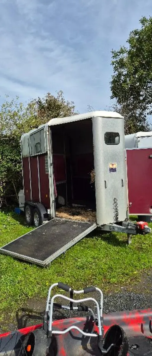 Horse trailer Ifor Williams 510 - Excellent Condit - Image 3