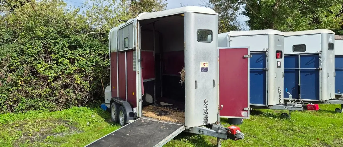 Horse trailer Ifor Williams 510 - Excellent Condit - Image 2