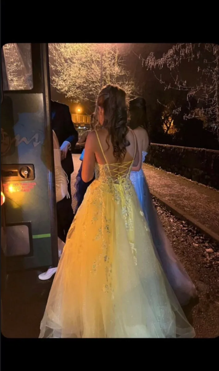 Ty ball / debs dress - Image 3