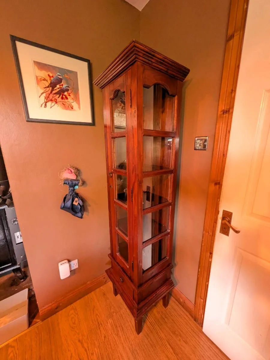 Vintage Tall Mahogany Display Cabinet - Image 1