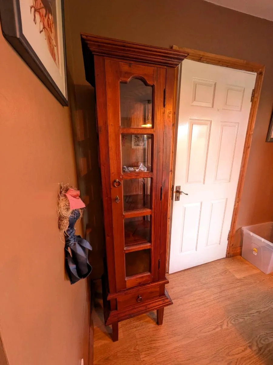 Vintage Tall Mahogany Display Cabinet - Image 2