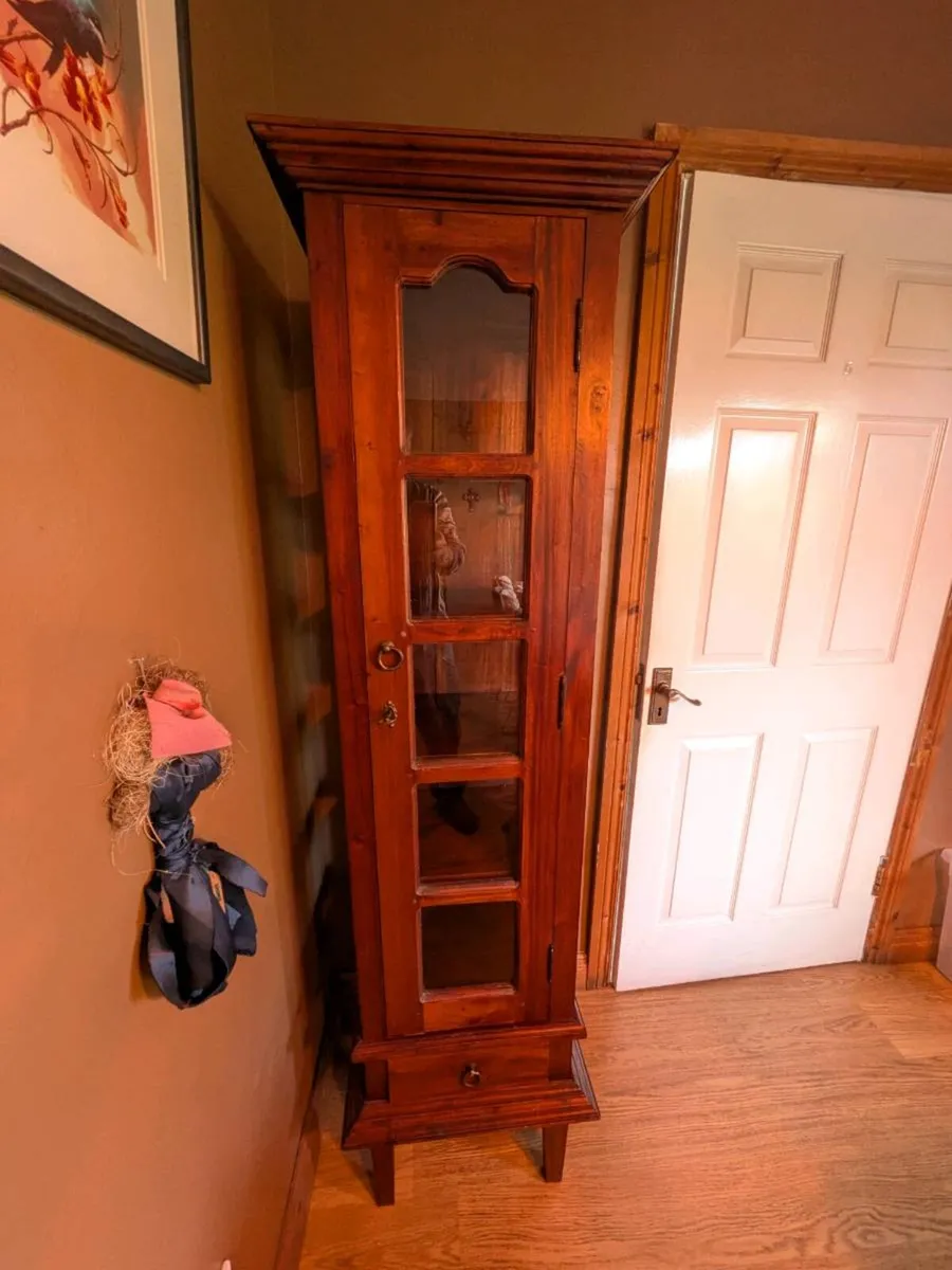 Vintage Tall Mahogany Display Cabinet - Image 3
