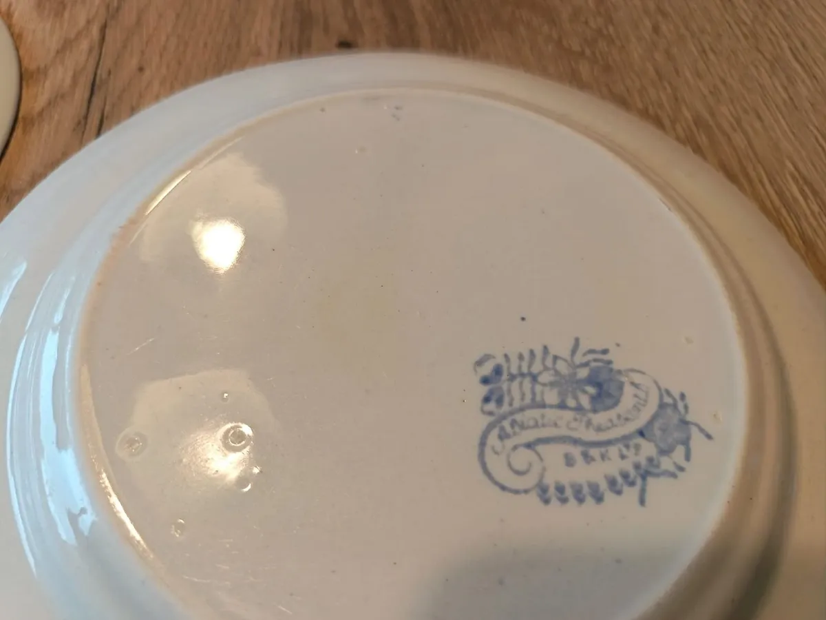 Selection of vintage blue and white china plates - Image 4