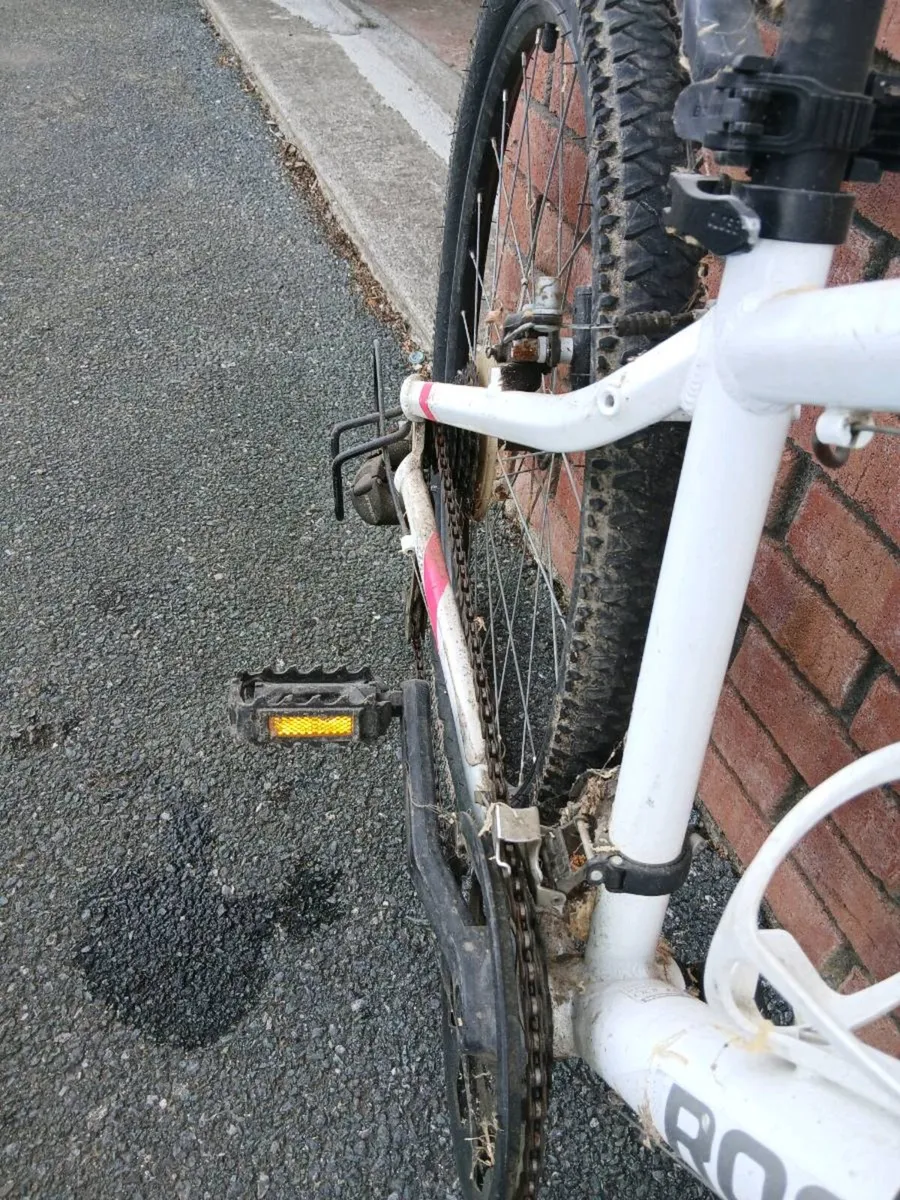 Bicycle - Image 3