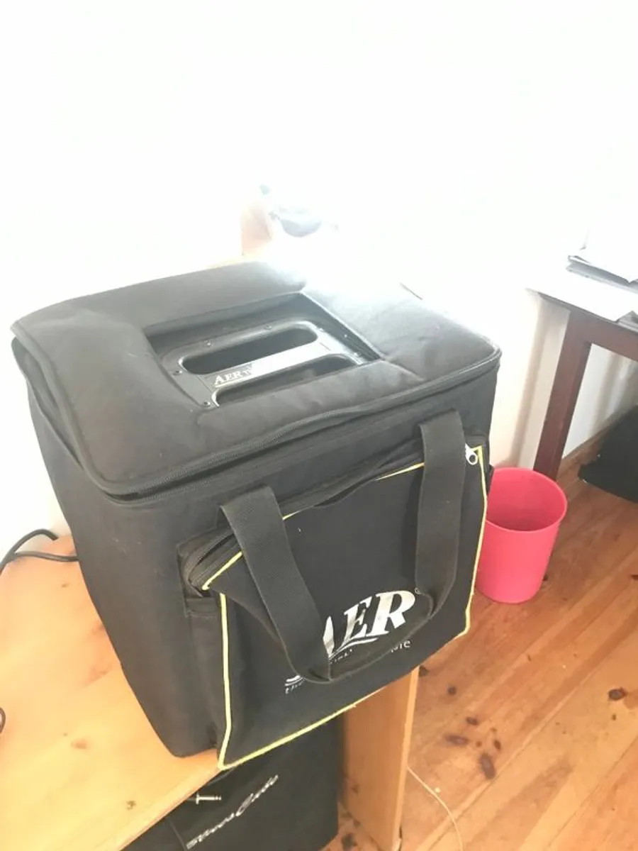 AER acoustic amp - Image 2